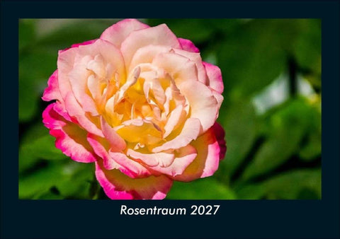Rosentraum 2027 Fotokalender DIN A5