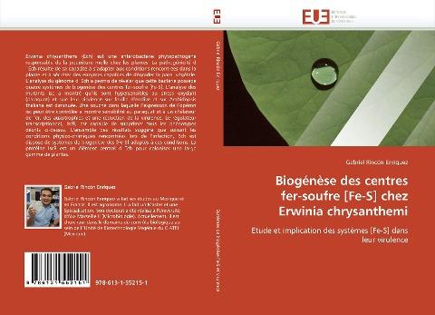 Biogénèse des centres  fer-soufre [Fe-S] chez  Erwinia chrysanthemi