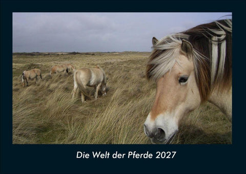 Die Welt der Pferde 2027 Fotokalender DIN A4