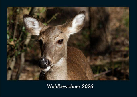 Waldbewohner 2026 Fotokalender DIN A4