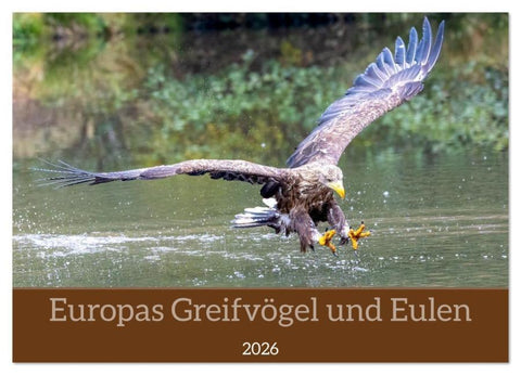 Europas Greifvögel und Eulen (Wandkalender 2026 DIN A2 quer), CALVENDO Monatskalender