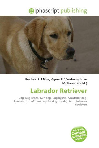 Labrador Retriever