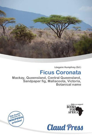 Ficus Coronata