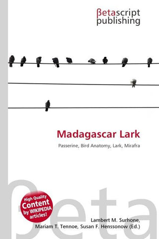 Madagascar Lark