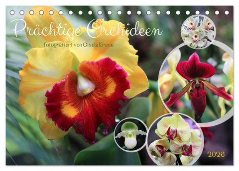 Prächtige Orchideen (Tischkalender 2026 DIN A5 quer), CALVENDO Monatskalender