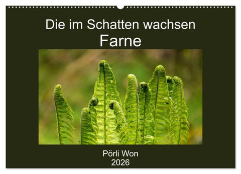 Die im Schatten wachsen - Farne (Wandkalender 2026 DIN A2 quer), CALVENDO Monatskalender
