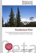 Ponderosa Pine