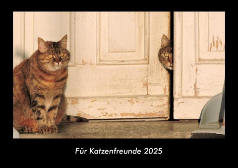 Für Katzenfreunde 2025 Fotokalender DIN A3