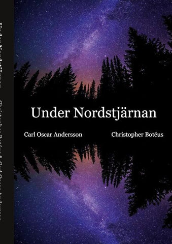 Under Nordstjärnan