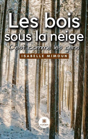 Les bois sous la neige