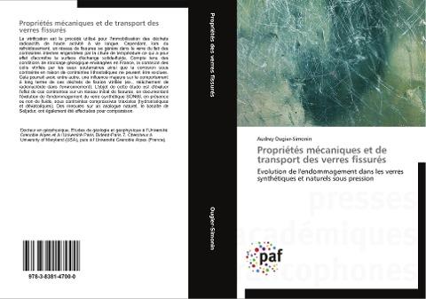 Propriétés mécaniques et de transport des verres fissurés