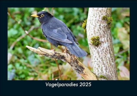 Vogelparadies 2025 Fotokalender DIN A5