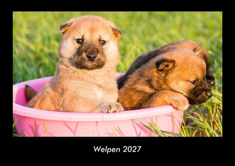 Welpen 2027 Fotokalender DIN A3