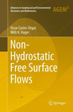 Non-Hydrostatic Free Surface Flows