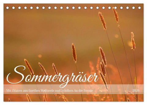 Sommergräser (Tischkalender 2026 DIN A5 quer), CALVENDO Monatskalender