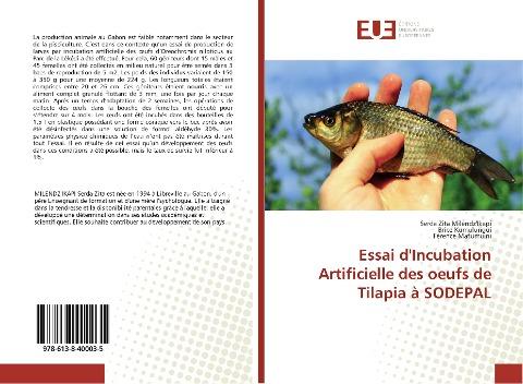 Essai d'Incubation Artificielle des oeufs de Tilapia à SODEPAL