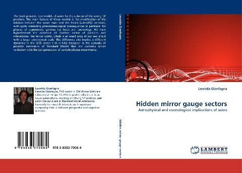 Hidden mirror gauge sectors