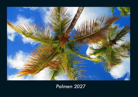 Palmen 2027 Fotokalender DIN A4