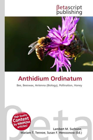 Anthidium Ordinatum