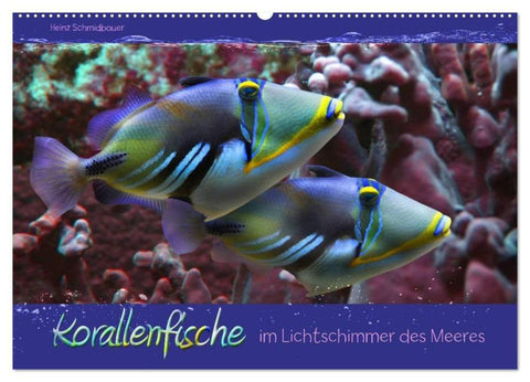 Korallenfische im Lichtschimmer des Meeres (Wandkalender 2026 DIN A2 quer), CALVENDO Monatskalender