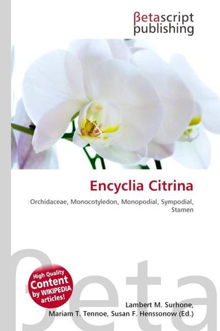 Encyclia Citrina