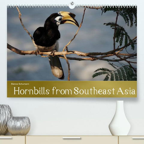 Hornbills from Southeastern Asia (Premium, hochwertiger DIN A2 Wandkalender 2022, Kunstdruck in Hochglanz)