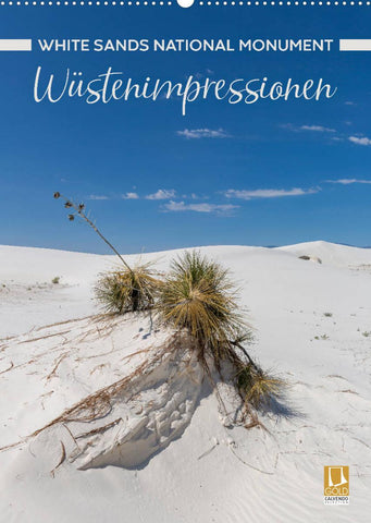 WHITE SANDS NATIONAL MONUMENT Wüstenimpressionen (Wandkalender 2022 DIN A2 hoch)