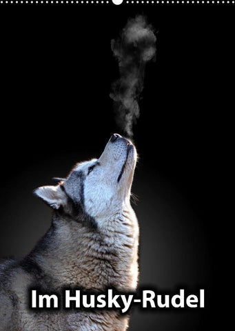 Im Husky-Rudel (Wandkalender 2022 DIN A2 hoch)