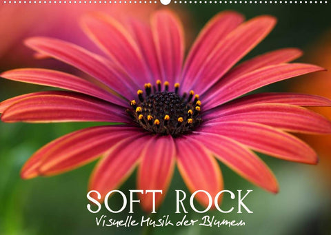 Soft Rock - Visuelle Musik der Blumen (Wandkalender 2022 DIN A2 quer)