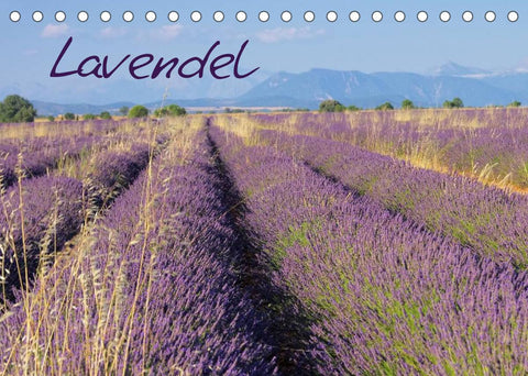 Lavendel (Tischkalender 2022 DIN A5 quer)
