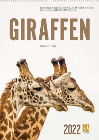 Emotionale Momente: Giraffen, die höchsten Tiere der Welt. (Wandkalender 2022 DIN A2 hoch)