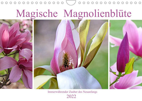 Magische Magnolienblüte (Wandkalender 2022 DIN A4 quer)