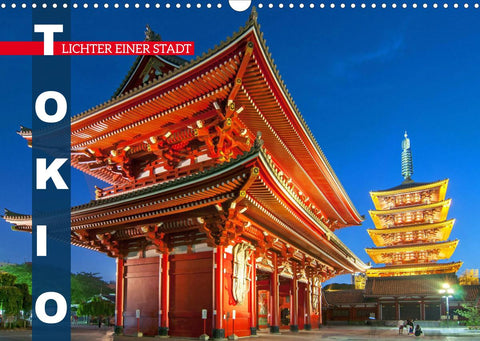 Tokio: Lichter einer Stadt (Wandkalender 2022 DIN A3 quer)