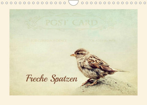 Freche Spatzen (Wandkalender 2022 DIN A4 quer)