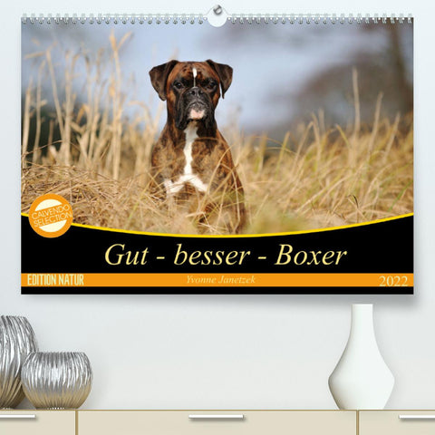 Gut - besser - Boxer (Premium, hochwertiger DIN A2 Wandkalender 2022, Kunstdruck in Hochglanz)