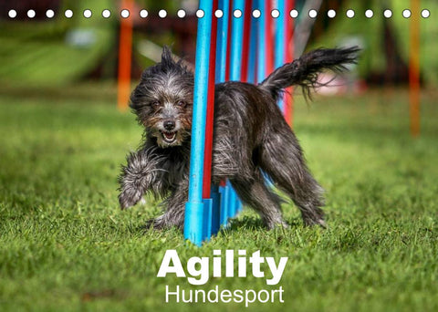Agility Hundesport (Tischkalender 2022 DIN A5 quer)