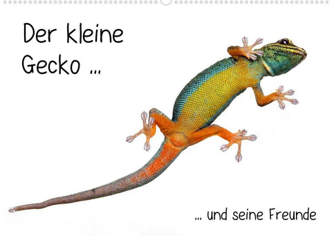 Der kleine Gecko und seine Freunde (Wandkalender 2022 DIN A2 quer)