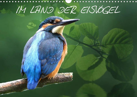 IM LAND DER EISVÖGEL (Wandkalender 2022 DIN A3 quer)