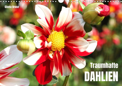 Traumhafte Dahlien (Wandkalender 2022 DIN A3 quer)