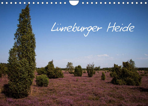 Lüneburger Heide (Wandkalender 2022 DIN A4 quer)
