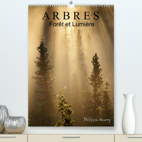 ARBRES. Forêt et Lumière (Premium, hochwertiger DIN A2 Wandkalender 2022, Kunstdruck in Hochglanz)