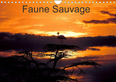 Faune Sauvage (Calendrier mural 2022 DIN A4 horizontal)