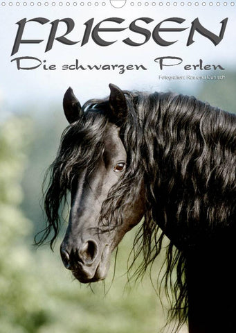 Friesen - die schwarzen Perlen (Wandkalender 2022 DIN A3 hoch)