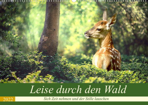 Leise durch den Wald. Sich Zeit nehmen und der Stille lauschen (Wandkalender 2022 DIN A2 quer)