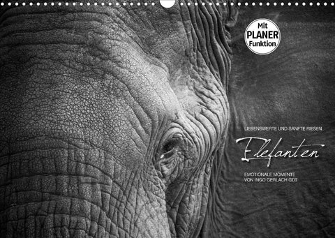 Emotionale Momente: Elefanten in black and white (Wandkalender 2022 DIN A3 quer)