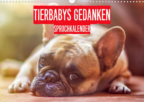 Tierbabies Gedanken Spruchkalender (Wandkalender 2022 DIN A3 quer)
