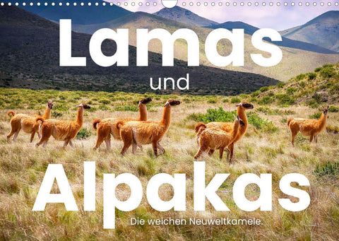 Lamas und Alpakas - Die weichen Neuweltkamele. (Wandkalender 2022 DIN A3 quer)