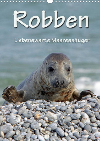 Robben (Wandkalender 2022 DIN A3 hoch)