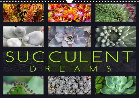 Succulent Dreams (Wall Calendar 2022 DIN A3 Landscape)