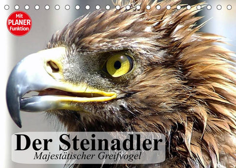 Der Steinadler. Majestätischer Greifvogel (Tischkalender 2022 DIN A5 quer)